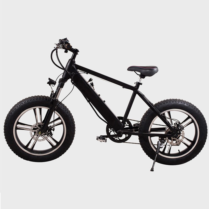 Fat Tire Electric Bike with Lithium Battery, Aluminum Alloy