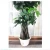 Import Favorable price artificial money tree , money tree bonsai,simulation potted plant from China