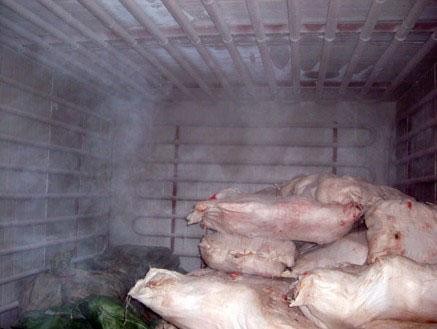 Freezing Refrigeration Cold Room