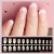 Import French Style Artificial Fingernails Natural Fake Nails Tip from China