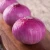 Import Fresh agricultural product myanmar fresh red onion from China from China