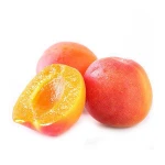 Fresh Apricot Sweet Wholesale Fresh Apricot Fruit With Good Price