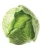 Import Fresh Cabbage from Egypt