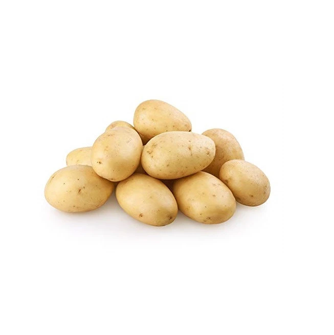 Fresh Certified Organic Potato