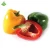 Import Fresh color capsicums / bell pepper / green color red bell pepper from China