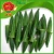 Import FRESH OKRA ON SALE from China
