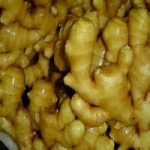 Fresh Organic Ginger Cheap price