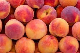 FRESH PEACHES FROM SOUTH AFRICA