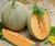 Import Fresh Sweet Green Muskmelon, Fresh Melon Vietnam from Vietnam