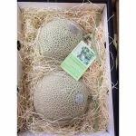 Fresh vegetable fruit melons with best quality from Japan