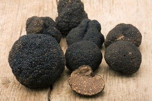 Fresh Winter truffle.