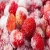 Import Frozen Organic Fresh Fruit Wholesaler from Ukraine
