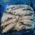 Import Frozen seafood Horse Mackerel Fish Suppliers from Germany