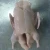 Import FROZEN WHOLE DUCK WITHOUT HEAD&amp;NECK POULTRY MEAT from China