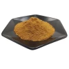 Fruiterco Supply Pseudo-ginseng Panax Pseudoginseng Extract Powder