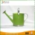 Import garden usage iron material watering can from China