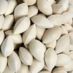 Ginkgo nuts Ready To Export