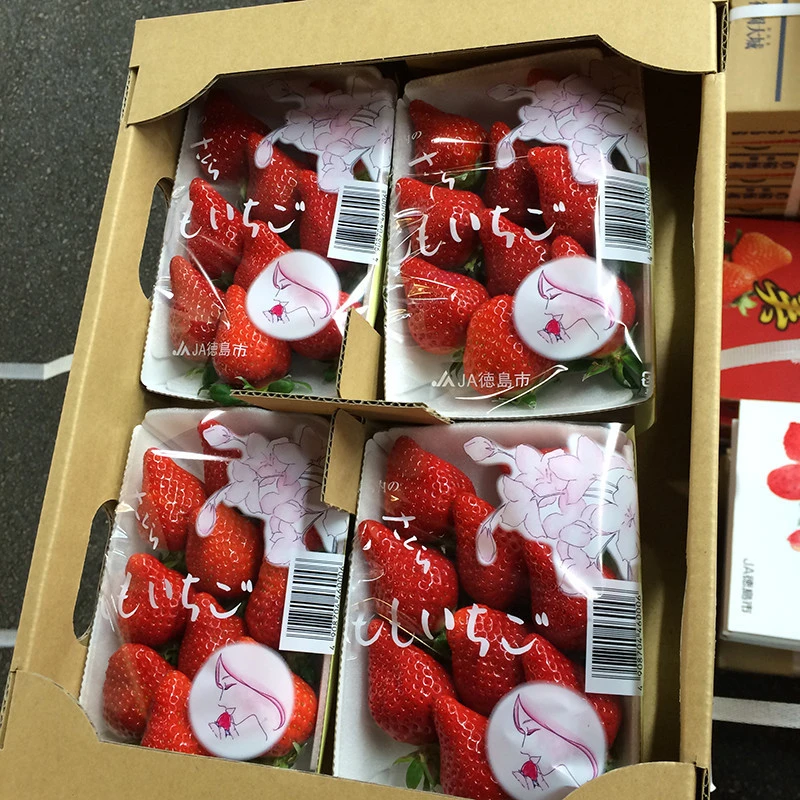 Good for consolidating the gums fresh strawberry price