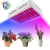 Import greenhouse hydroponic 1000w 1500w 2000w cob full spectrum indoor led grow light bar plant light from China