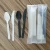 Import GreenWorks 100% Compostable cutlery Eco-friendly  CPLA plastic fork spoon knife with Napkin from China