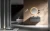 Import Grey color Elegant One-piece artificial basin functional wall mounted Mirror vanity stainless steel cabinet from China
