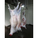 Halal Fresh/Frozen Sheep/Goat/Lamb Meat/Carcass