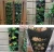 Import Hanging Planter, 7 Pocket Vertical Wall Mounted Rattan Garden Planters Grow Bags Plant Pouch Hanging Flower Bags for Strawberry from China