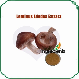 health care product Shitake mushroom capsules 300mg Lentinus edodes mushroom powder