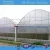 Import Heat preservation 8m span grow vegetables green house sheets from China