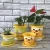Import High-end printing pattern plastic pots containers for plants from China
