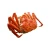 Import High grade rich and flavorful taste seafood legs meat can crab meat from Japan