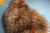 Import high quality brown artificial raccoon fur long pile plush fake fur fabric from China
