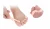Import High Quality Bunion Relief for Hammer Toe Separators and Toe Streightener for Relaxing Toes from China