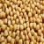 Import High Quality Chickpea/Chick Peas from China
