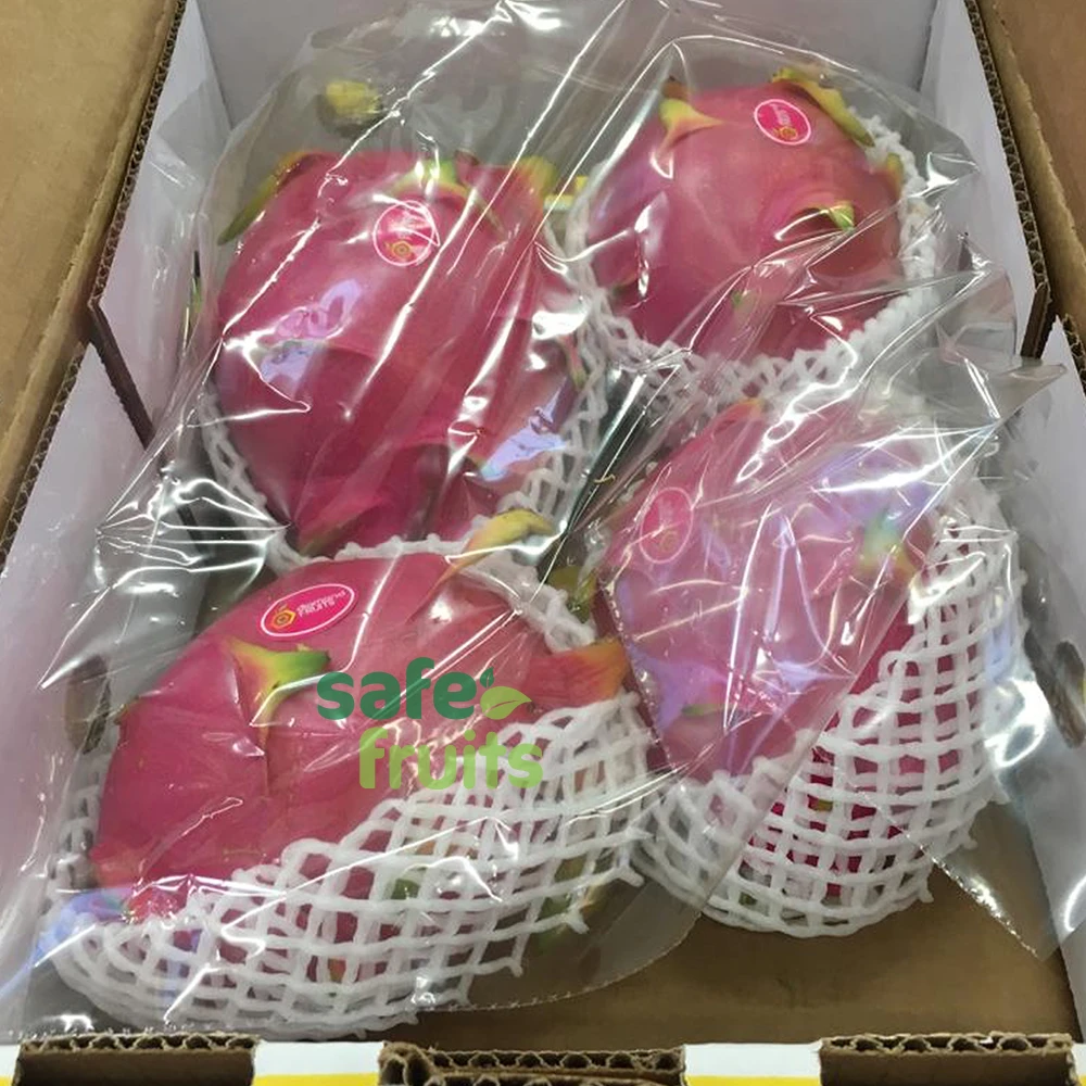 High quality Fresh Dragon fruit with Red and White Flesh all careful packaging and ready to ship