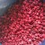 Import High Quality Frozen Iqf Raspberry  With New Crop from China
