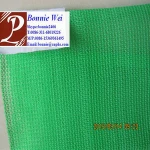 High quality green sun shade net