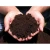 Import High Quality Organic fertilizers from South Africa