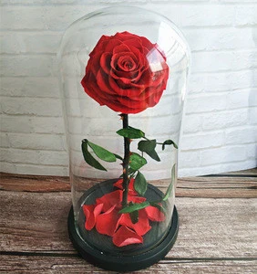High Quality Preserved Fresh Roses With Competitive Price