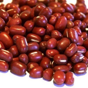 High Quality Vigna Adzuki Beans Available