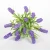 Import High-quality wholesale artificial lavender potted plant from China
