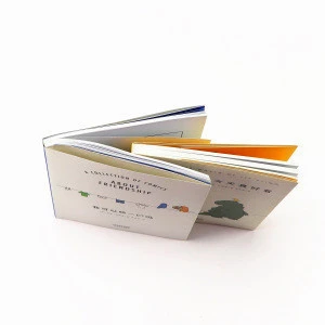 Hot sale and durable 4c+4c CMYK Pantone Eco-friendly custom book printing