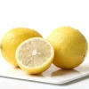 Hot sale high quality citrus fruit fresh Lemon