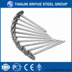 hot sale nail factory U type nail price
