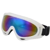 Hot selling fashion high quality vintage protection PC anti-fog ski sports eyewear