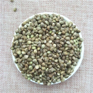 Huo ma ren Chinese supplier High germination rate certified agricultural hemp seeds