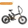 Isreal new full suspension small folding fat electric bike/fat tire electric bicycle/ebike