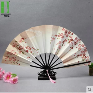 Japanese painted folding paper hand fan