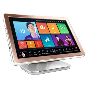karaoke  machine system singing 19 inch all in one HDD  player with 40w+ songs touchscreen KTV player