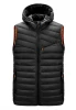 Latest Factory Wholesale Men Winter padded Puffer Pattern Lightweight Sleeveless Nylon Stylish Man designer vest Mens